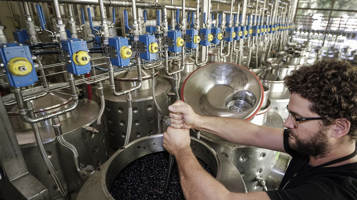 microvinificaciones Torres